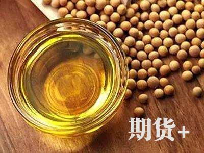 春节后首日豆油将高开