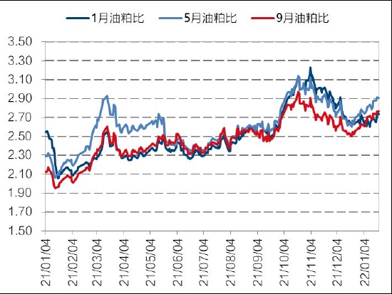 高位风险聚集 油脂保持波段操作