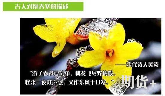 关注新一轮降温降雨！这次过程为啥不算“倒春寒”？