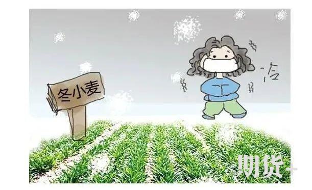 关注新一轮降温降雨！这次过程为啥不算“倒春寒”？
