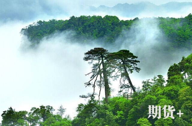为什么做期货投资亏损的总是你？