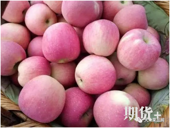 西北产区花芽情况总结