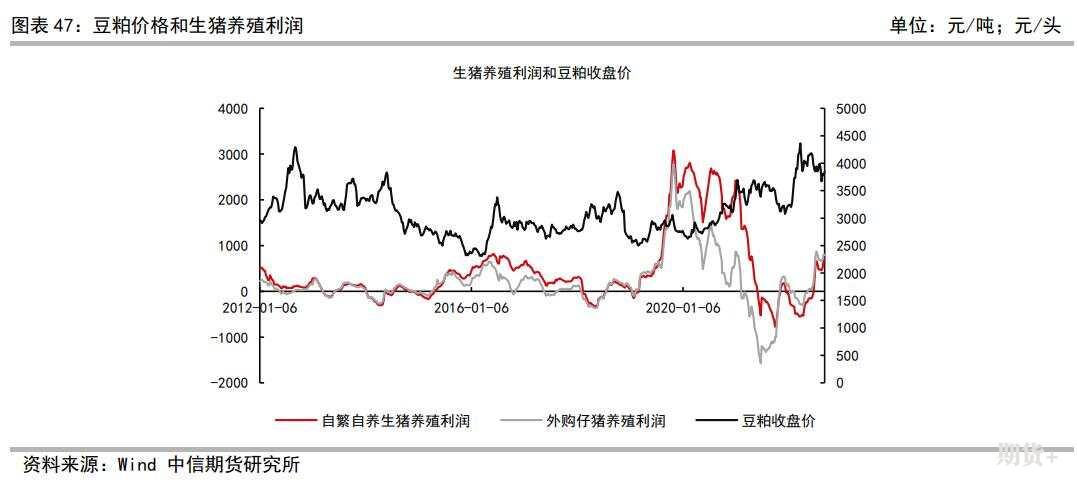 豆粕豆油简介及期货价格研究框架