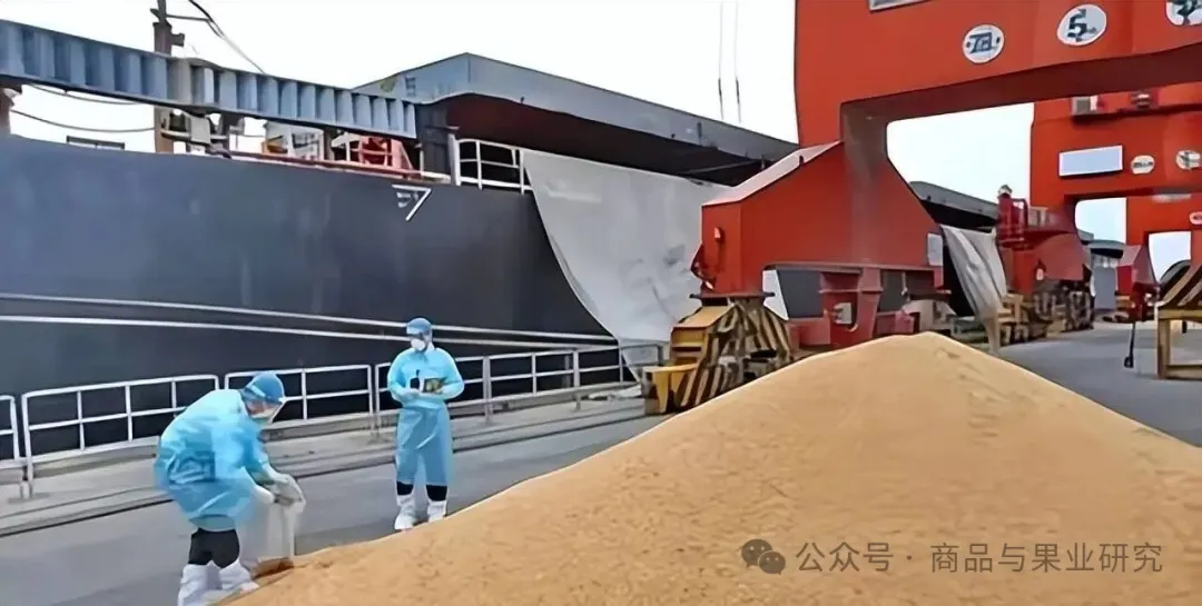 短期豆粕大幅拉升,什么套路? 短期豆粕大幅拉升,什么套路?