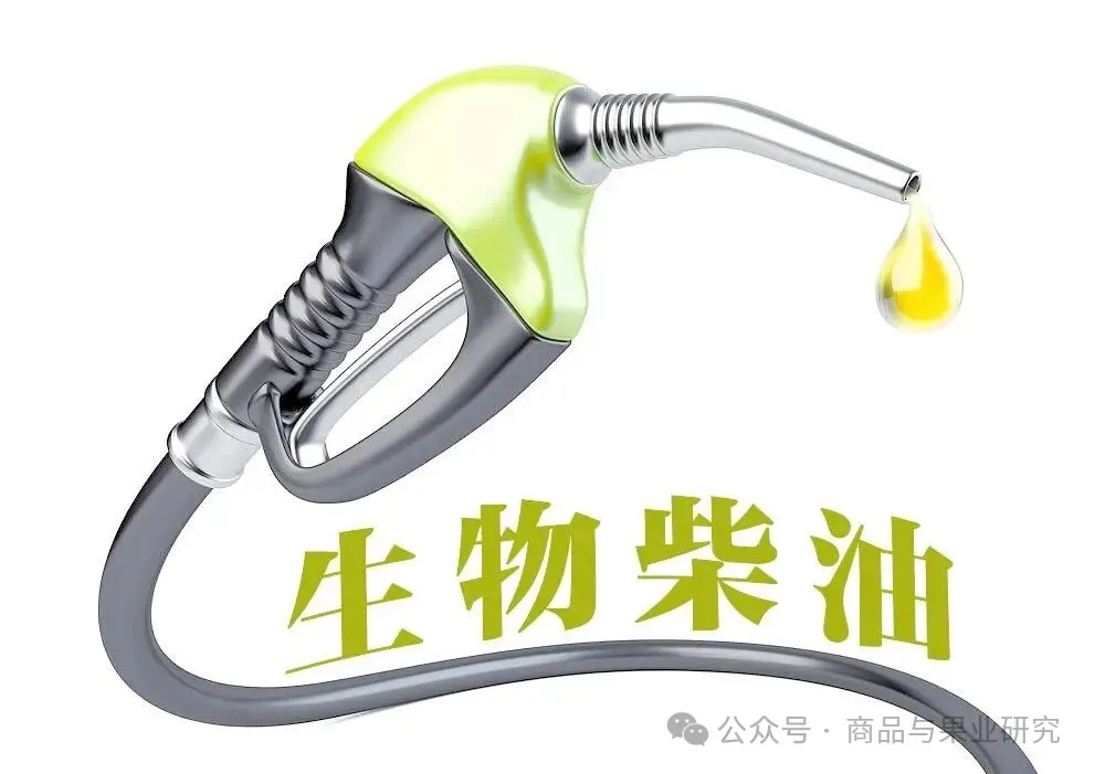 生柴计划对油脂仍有较大影响