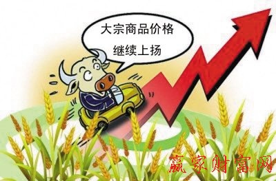 期货图片
