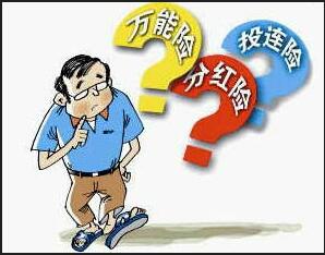 合约标分红