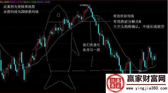 鱼身理论